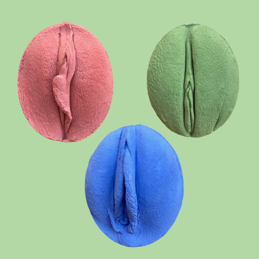 Vulva Model Set