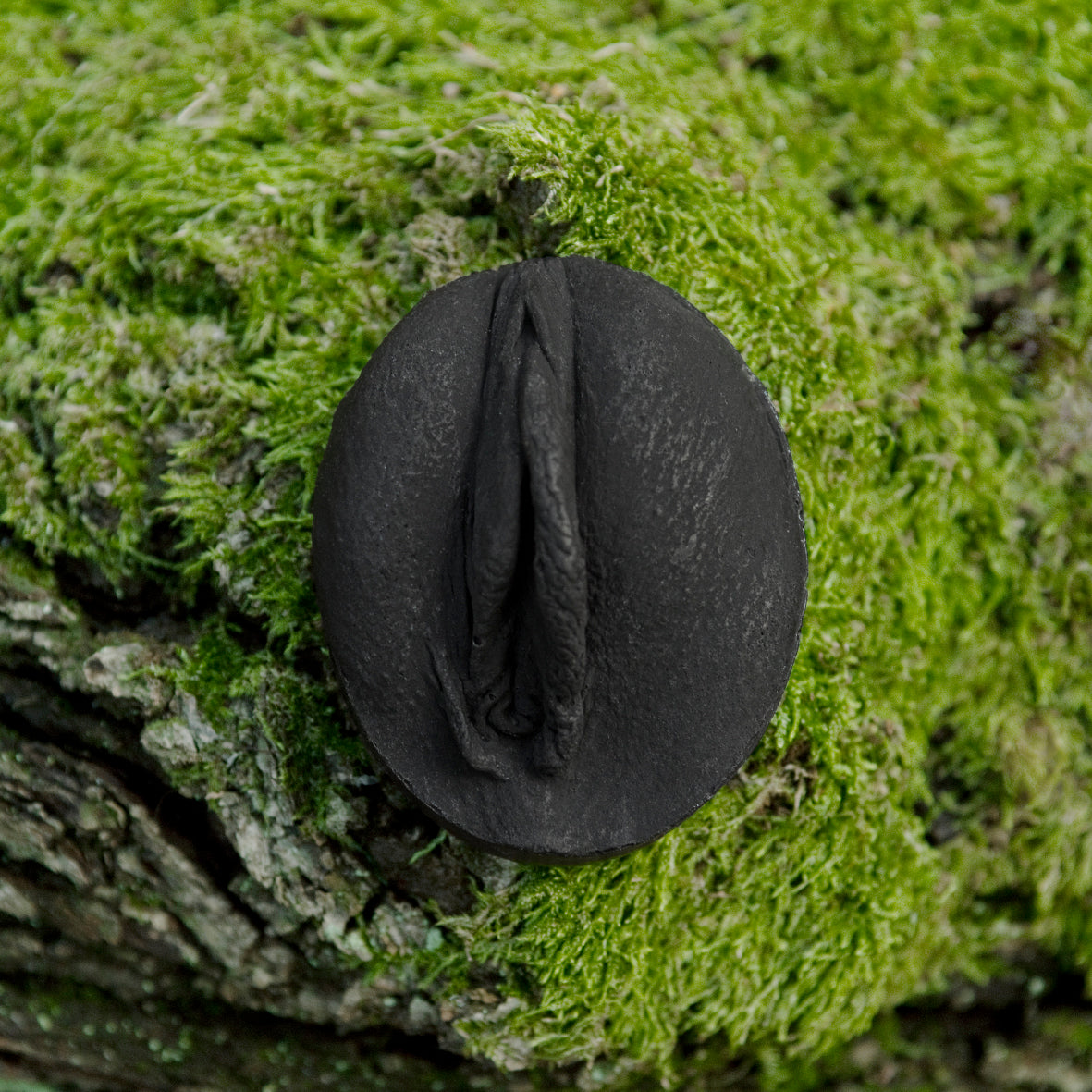Black  Vulva Soap on a trunk with moss. Schwarze Seife Vulva präsentiert auf mosigem Untergrund